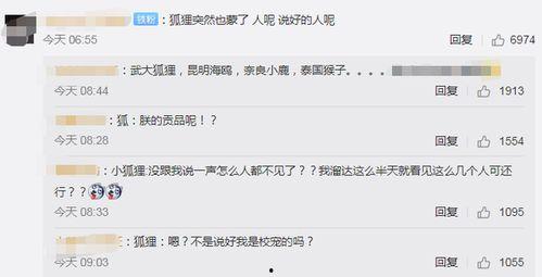 武汉网红爆料视频曝光,揭秘城市生活幕后真相